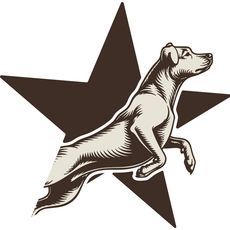 Sporting Dog Gear